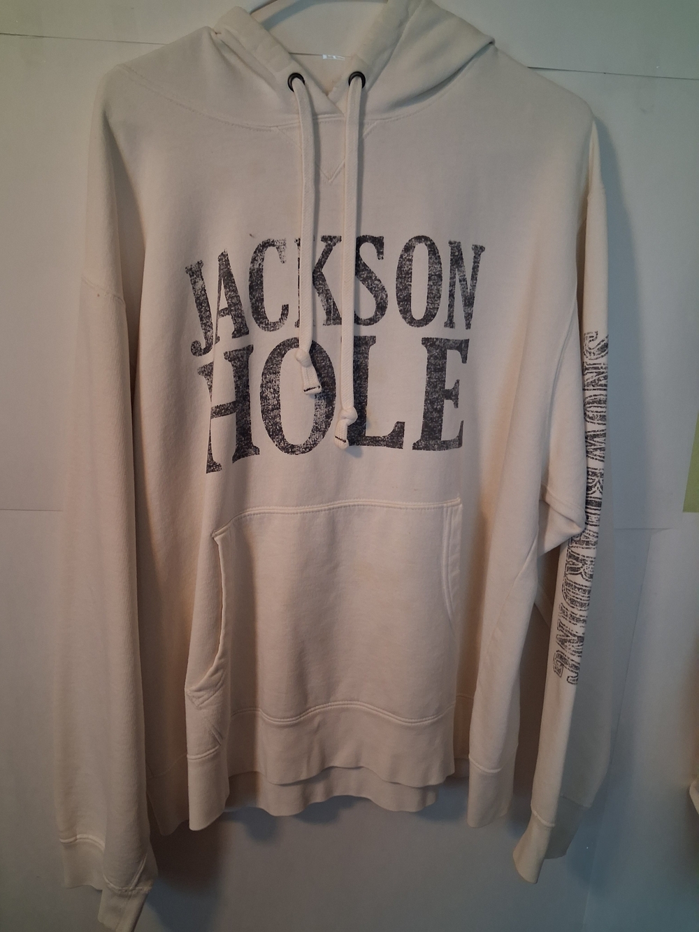 Old Navy Cream Jackson Hole Hooded Sweatshirt
